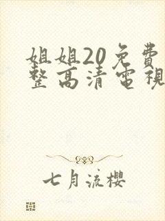 姐姐20免费完整高清电视剧在线看封面