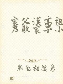 家父汉高祖,吾乃败家子小说小说