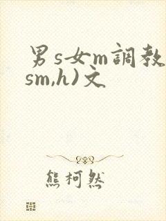 男s女m调教(sm,h)文
