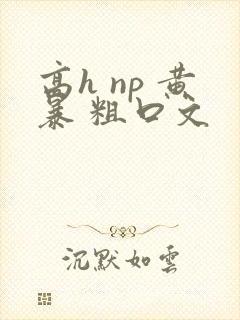 高h np 黄暴 粗口文封面