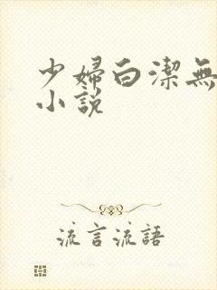 少妇白洁无删减小说封面