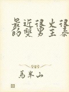 最近很火很好看的双男主泰剧