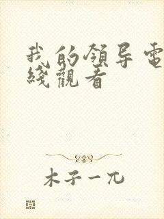 我的领导电影在线观看