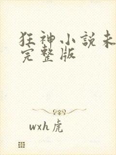 狂神小说未删减完整版