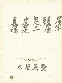 真皮是头层牛皮还是二层牛皮