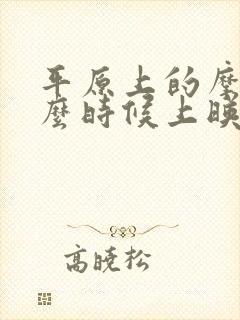 平原上的摩西什么时候上映封面