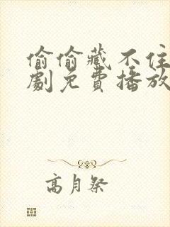 偷偷藏不住电视剧免费播放在线封面