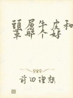 头层牛皮和牛皮革哪个好