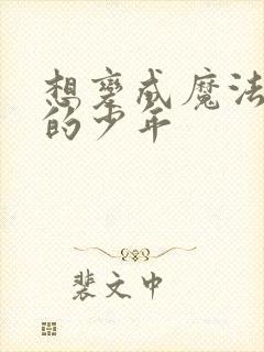 想变成魔法少女的少年