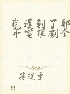 我迟到了那么多年电视剧全集免费封面