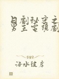 日剧秘密之吻双男主电视剧在线观看