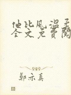 他比风温柔小说全文免费阅读