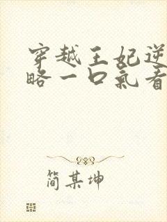 穿越王妃逆袭攻略一口气看完