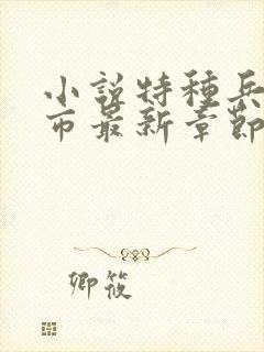 小说特种兵在都市最新章节