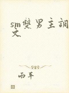sm双男主调教文