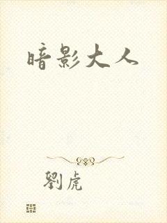暗影大人