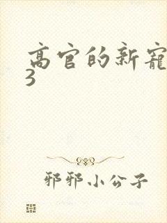 高官的新宠1V3封面
