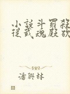 小说斗罗杀星,从武魂殿砍到神界中枢全文