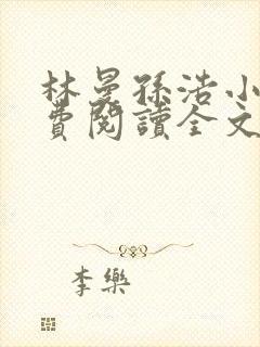 林曼孙浩小说免费阅读全文最新章节