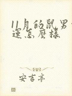 11月的鼠男命运怎么样