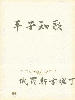 平子知歌封面