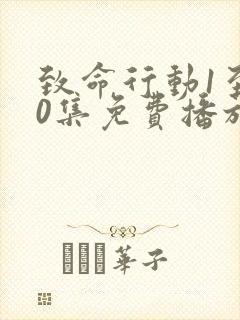 致命行动1至40集免费播放