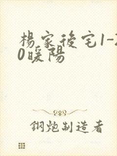 杨家后宅1-20暖阳