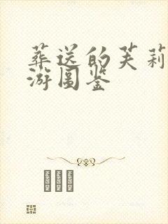 葬送的芙莉莲卡游图鉴