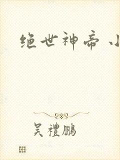 绝世神帝 小说封面