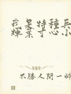 我是特种兵耿继辉叶寸心小说封面