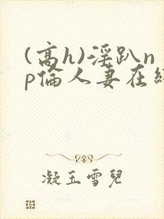 (高h)淫趴np伦人妻在线阅读