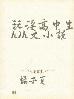 玩淫高中生(高h)h文小说封面