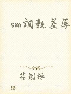 sm调教羞辱文封面