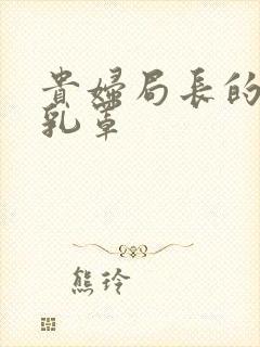 贵妇局长的蕾丝乳罩