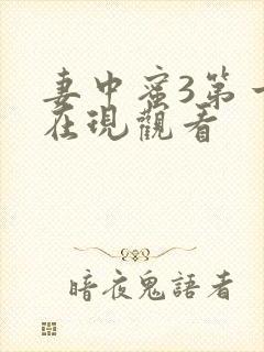 妻中蜜3第一季在现观看