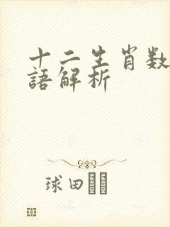 十二生肖数字谜语解析