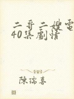 二哥二嫂电视剧40集剧情