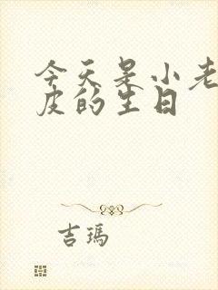 今天是小老鼠皮皮的生日