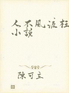 人不风流枉少年小说