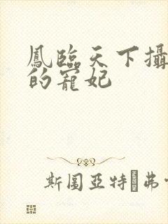 凤临天下摄政王的宠妃