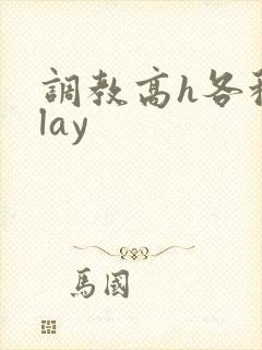 调教高h各种play