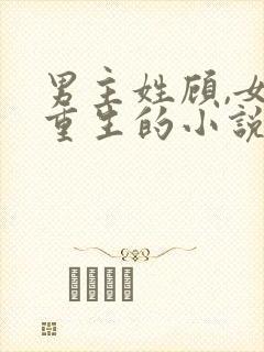 男主姓顾,女主重生的小说