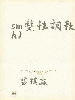 sm双性调教(h)