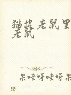 猫捉老鼠里面的老鼠