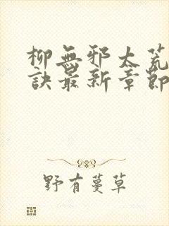 柳无邪太荒吞天诀最新章节