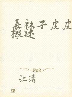 长袜子皮皮故事概述封面