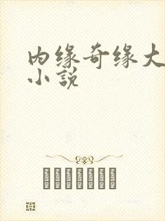 内缘奇缘大团圆小说