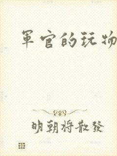 军官的玩物封面