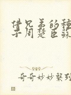 借兄弟的种生孩子周楚臣苏糖