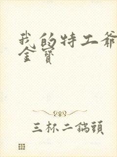 我的特工爷爷洪金宝封面